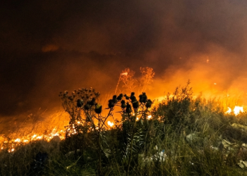 Presidente Perón | Controlan un voraz incendio de pastizales tras un intenso operativo en Guernica