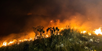 Presidente Perón | Controlan un voraz incendio de pastizales tras un intenso operativo en Guernica