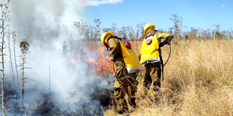 San Vicente | «Un poquito de empatía»: el desesperado pedido de los Bomberos tras un fin de semana de fuego y pérdidas millonarias