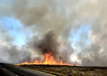 Incendio de pastizales de gran magnitud en Alejandro Korn: cortan de forma preventiva la Ruta 210