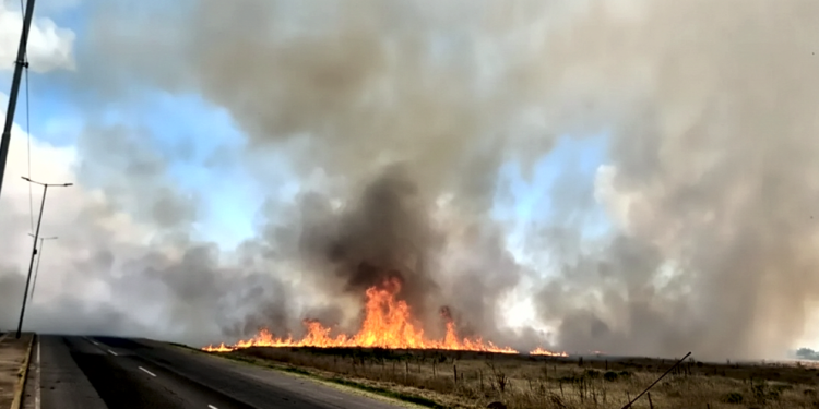 Incendio de pastizales de gran magnitud en Alejandro Korn: cortan de forma preventiva la Ruta 210