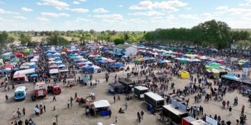 Fiestas populares | San Vicente se prepara para la 12° Fiesta Regional de la Miel, un encuentro clave para la producción y el turismo