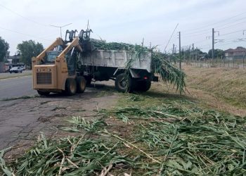 Presidente Perón | Intensifican operativos de limpieza y desmalezamiento en la Ruta 210