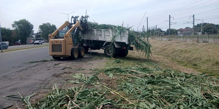 Presidente Perón | Intensifican operativos de limpieza y desmalezamiento en la Ruta 210