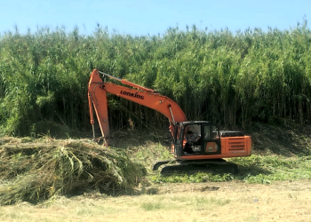 Presidente Perón | El Municipio refuerza el saneamiento integral en la zona de «La Trocha»