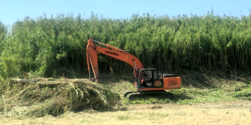 Presidente Perón | El Municipio refuerza el saneamiento integral en la zona de «La Trocha»
