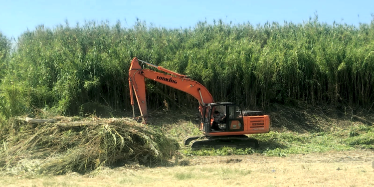 Presidente Perón | El Municipio refuerza el saneamiento integral en la zona de «La Trocha»