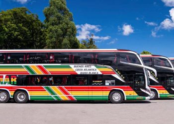 Transportes | Conectividad regional: todos los horarios del servicio de Plusmar entre San Vicente y La Plata