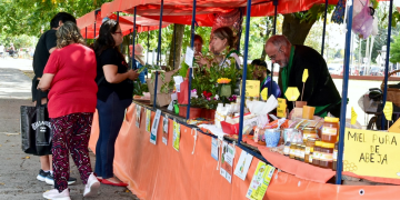 Guernica | Todo liso para una nueva Feria Soberana: productos frescos y precios directos en la Plaza Belgrano