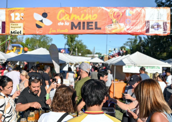Fiestas populares | Multitudinaria convocatoria en la 12° Fiesta Regional de la Miel en San Vicente