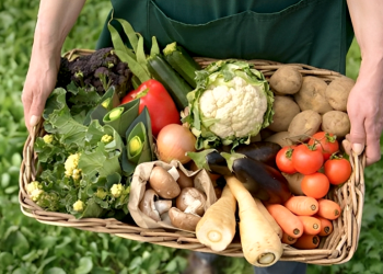 Educación y Nutrición | Abre la inscripción para el curso de Seguridad y Soberanía Alimentaria en el CEU San Vicente