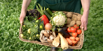 Educación y Nutrición | Abre la inscripción para el curso de Seguridad y Soberanía Alimentaria en el CEU San Vicente