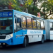 Transportes | Garantizan el servicio de la línea 435 por diez años más tras prorrogarse su concesión en el sur del Conurbano