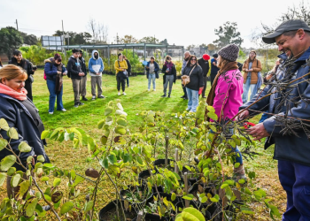 San Vicente | Desde la Comuna impulsan actividades de educación y concientización ambiental