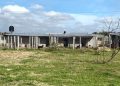 Domselaar | Alerta roja: el refugio «Los Pinos» se queda sin alimento y necesita la ayuda de todos