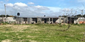 Domselaar | Alerta roja: el refugio «Los Pinos» se queda sin alimento y necesita la ayuda de todos