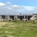 Domselaar | Alerta roja: el refugio «Los Pinos» se queda sin alimento y necesita la ayuda de todos