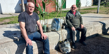 Ecología | Llega la tercera edición de «San Vicente Planta» para impulsar la forestación local