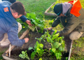 Alimentación | San Vicente capacitará a la comunidad con un taller gratuito de huerta hogareña y sustentable