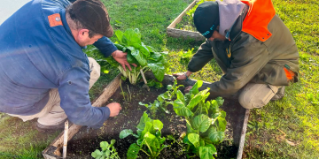 Alimentación | San Vicente capacitará a la comunidad con un taller gratuito de huerta hogareña y sustentable