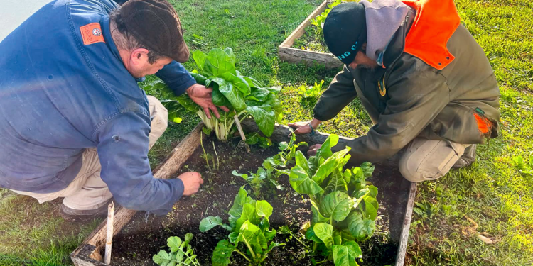 Alimentación | San Vicente capacitará a la comunidad con un taller gratuito de huerta hogareña y sustentable