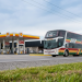 Transportes | El absurdo de los micros que pasan vacíos: por qué la Justicia debe frenar el cepo a la línea 248 C en San Vicente y Cañuelas