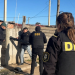 Alejandro Korn | Cae el autor de un violento asalto a comercio tras un allanamiento clave de la Sub DDI