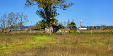 Policiales | Violenta entradera en un campo de Domselaar: delincuentes armados asaltaron a una pareja y robaron su vehículo