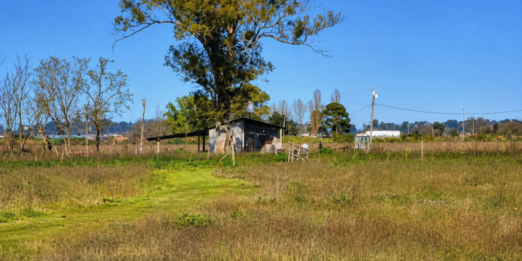 Policiales | Violenta entradera en un campo de Domselaar: delincuentes armados asaltaron a una pareja y robaron su vehículo